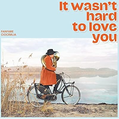 It Wasn'T Hard to Love You