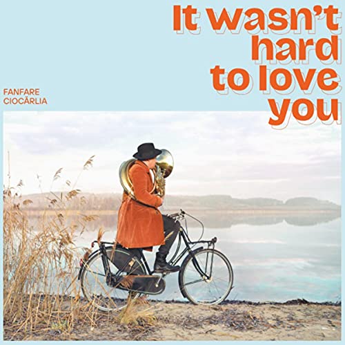 It Wasn't Hard To Love You [Vinilo]