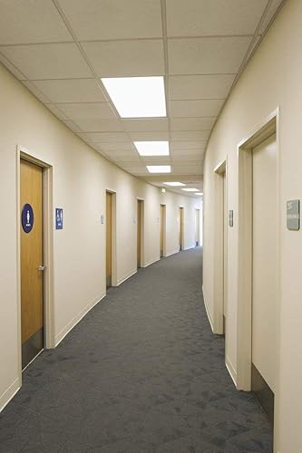 Miniatura 2 de Circle (Caja de 25) F32T8SP830 Bombillas fluorescentes lineales blancas cálidas de 32 vatios T8 FO32 3000K de 48 pulgadas