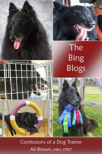 The Bing Blogs: 1