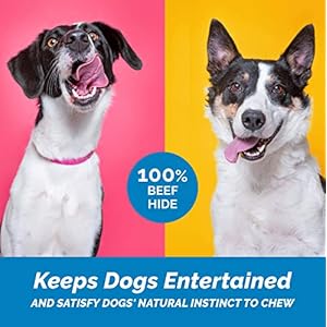 Premium-Rawhide-Retriever-Rolls-for-Dogs-Bone-8-10-6-Count-All-Natural-Grass-Fed-Free-Range-Hand-Rolled-Dog-Bones-Medium-and-Large-Dogs - Cucciolini Doodles Premium-Rawhide-Retriever-Rolls-for-Dogs-Bone-8-10-6-Count-All-Natural-Grass-Fed-Free-Range-Hand-Rolled-Dog-Bones-Medium-and-Large-Dogs