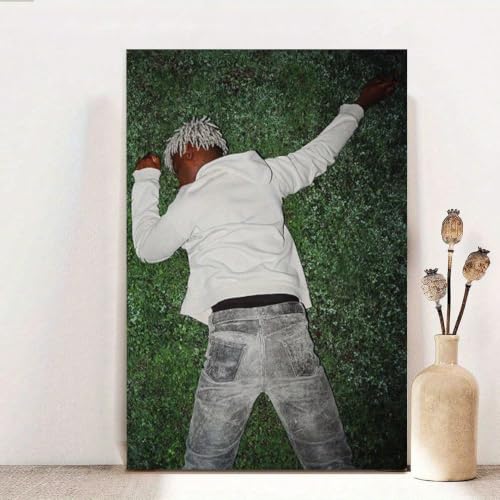 Tableau hip-hop silhouette sur herbe verte | Impression toile 50x70 cm sans cadre