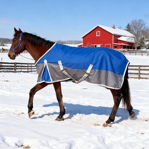 Image of Horse Blanket for Winter, Waterproof, 1200D, 220g (Blue /Gray, 72 in)