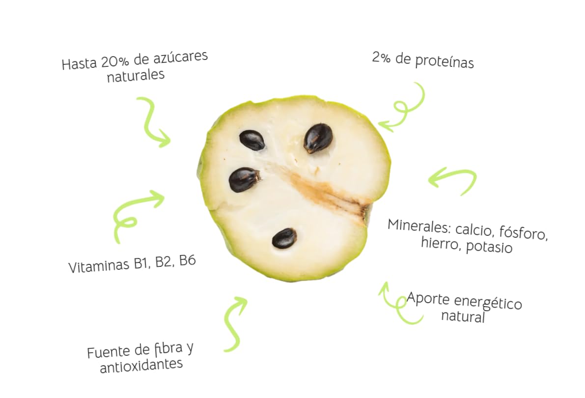 Chirimoya Pack 4 kg - Chirimoya origen España - Compra chirimoyas de la costa tropical de Granada.