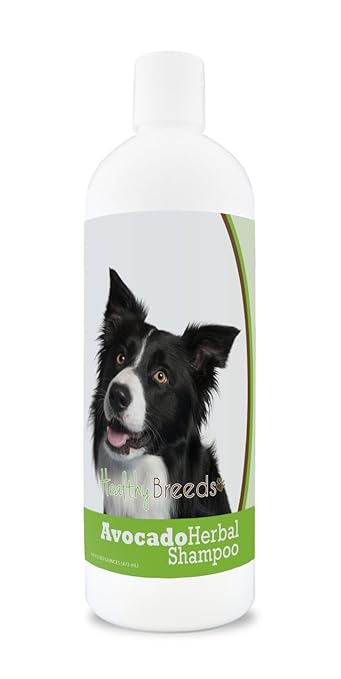 Healthy Breeds Herbal Avocado Dog Shampoo for Dry Itchy Skin for Border Collie - Over 100 Breeds - Flea and Tick Product Safe - For Dogs with Allergies or Sensitive Skin - 16 oz