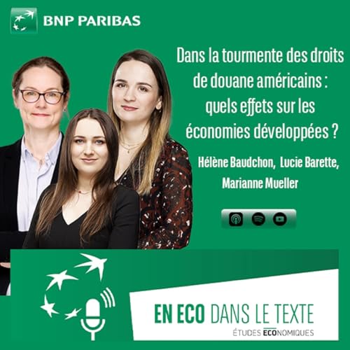 『Dans la tourmente des droits de douane am&eacute;ricains : quels effets sur les &eacute;conomies d&eacute;velopp&eacute;es ?』のカバーアート