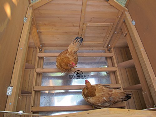 Pets Imperial® Savoy Doppelnestkasten Hühnerstall mit 1,4 m Auslauf - Großer Hühnerstall - 6 Nistplätze – Bild 7
