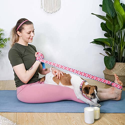 Blueberry Style Variety Gift Box in Southwestern Tribal Diamonds - Soft Small Dog Collar, High Density 6 ft Yoga Stretch Strap and Skinny Elastic Headbands for Pet Lover