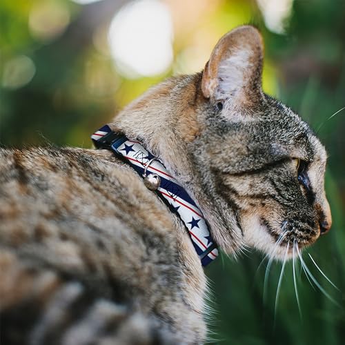 Collar para gato de 20 a 30 cm que evita enganches y protege el cuello de tu mascota 3