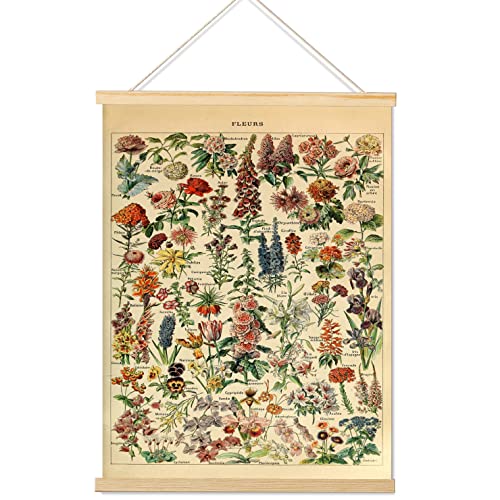 Armindou Impressões de pôsteres de flores vintage, gráfico de ref...