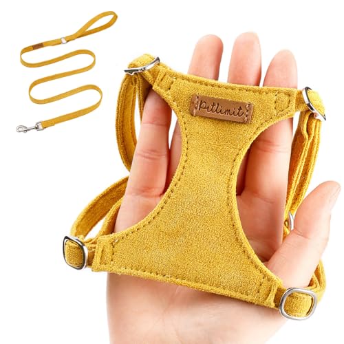 Yume Heya 犬用ハーネス 牽引ロープ セット|超小型犬・小型犬・中型犬専用|調節可能・クイック着用|軽量・通気性良好|快適柔らかく喉に優しい|脱落防止・伸び防止|耐久性・安全設計|散歩・トレーニング適用|シンプルファッション