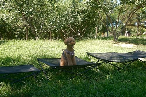 KingCamp Erhöhtes Hundebett Hundeliege Outdoor Haustierbett Haustierliege Atmungsaktivem Mesh & Wildledermatte & Rutschfesten Füßen für Reisen Garten Outdoor Indoor, Schwarz 77 x 77 x 30 cm
