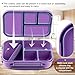 Amathley Lunch Box Kids,Bento Box Adult,Leakproof Lunch Containers for Adults/Kids/Toddler,1200ML-4 Compartments bento Lunch box with Utensil,Microwave & Dishwasher & Freezer Safe (Purple)