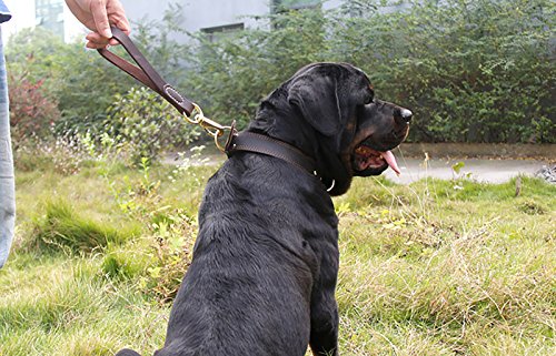 Fairwin Leather Short Dog Leash 12" - Short Dog Traffic Lead Leash For Large Dogs Training And Walking ( Width: 3/4") (Brown-New) #TOP6