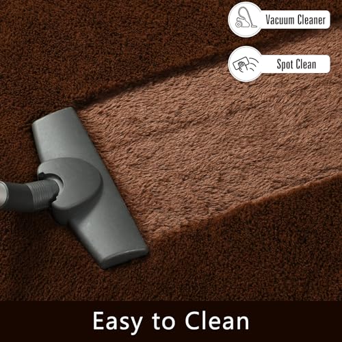 HOMORE Living Room Rug 8x10, Brown Rugs for Living Room, Large Fluffy Rugs for Bedroom Super Soft Shaggy Carpet for Kids Room Dorm Home