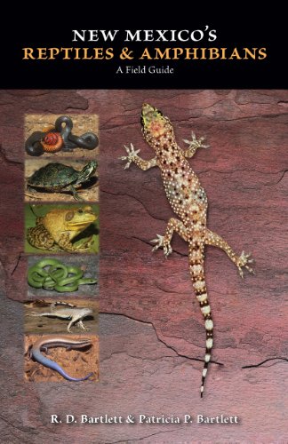 New Mexico S Reptiles And Amphibians A Field Guide First