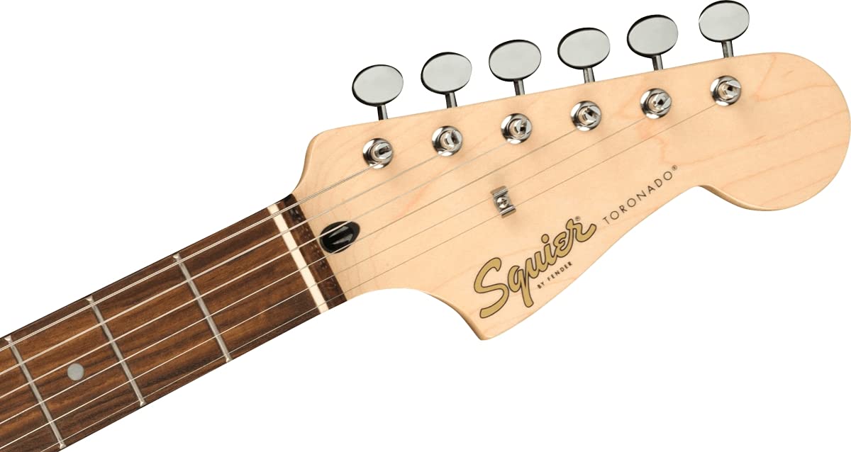Amazon | Squier/Paranormal Toronado Laurel Fingerboard