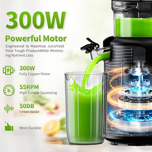 Cold Press Masticating Juicer Machine