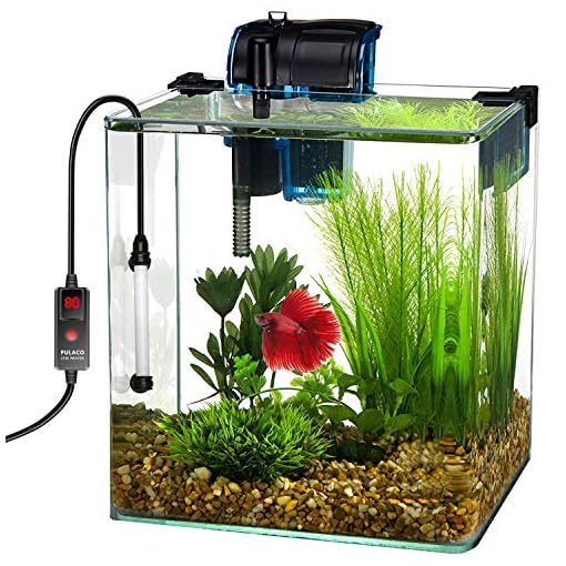 PULACO 25W Mini Aquarium Heater with External Controller & LED Temperature Display, Adjustable