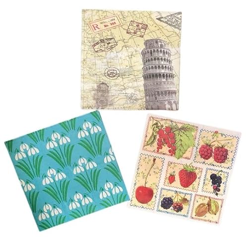 �y�[�p�[�i�v�L�� �R��� �e�T���� 15���� ���i�v�L�� �f�R�p�[�W���f�� �A�\�[�g �n���h���C�h �s�T�̎Γ� �n�}�� �A���e�B�[�N�� �ԕ� �t�����[ �X�m�[�t���[�N �t���[�c �ʎ���