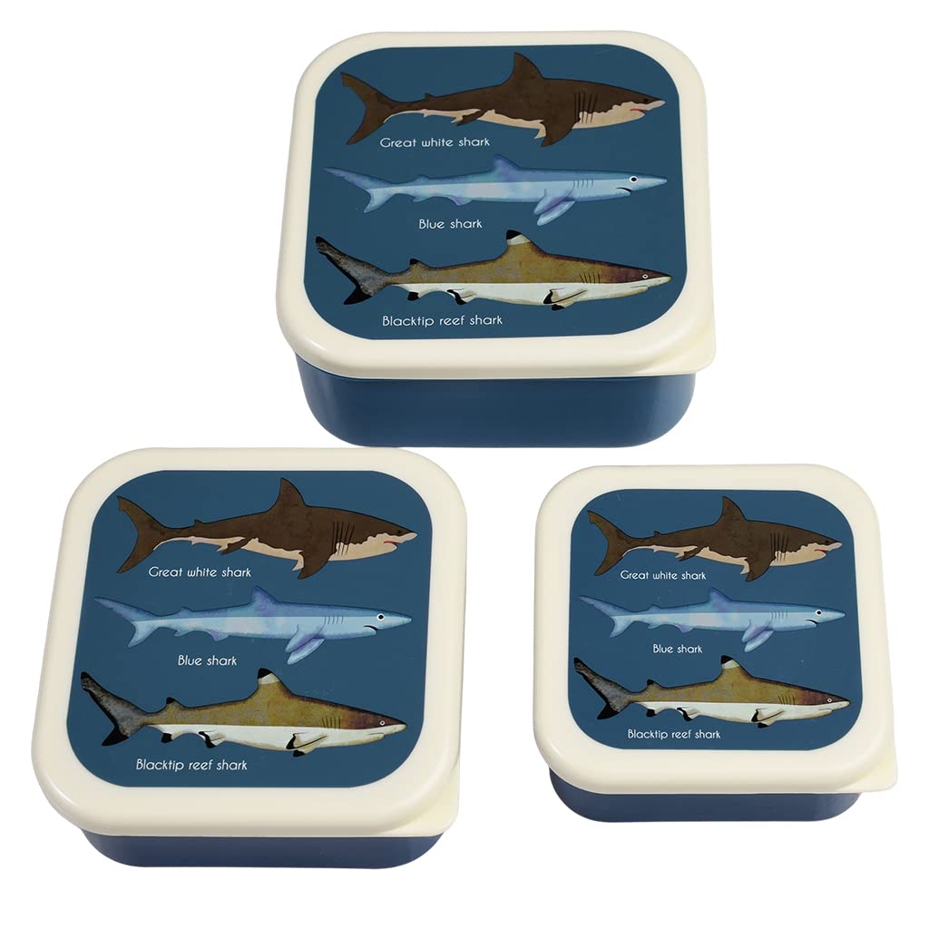 dotcomgiftshop Rex London Snack boxes (set of 3), kids snack box, Sharks
