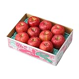 お歳暮 りんご シナノスイート 秀品 9~13玉 3kg 長野県産 信州高山さわやかりんご 林檎 リンゴ