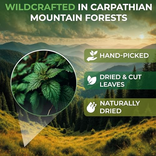 Image of 1.8 oz. Dried Nettle Leaf Tea Ortiga Planta Stinging Nettle Leaf Herb (Urtica Dioica) - 50g Herbal Tea Ortiga Verde Te