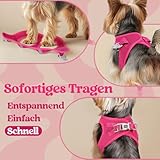 rabbitgoo Hundegeschirr Kleine Hunde, Step-in Welpengeschirr Weich Mesh für Spaziergänge, Atmungsaktives und Reflektierendes Brustgeschirr für Kleine und Mittelgroße Hunde, Rosarot, XS