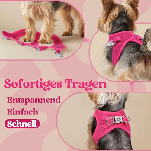 rabbitgoo Hundegeschirr Kleine Hunde, Step-in Welpengeschirr Weich Mesh für Spaziergänge, Atmungsaktives und Reflektierendes Brustgeschirr für Kleine und Mittelgroße Hunde, Rosarot, XS