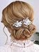 Heread Flower Wedding Hair Clips Silver Leaf Hair Barrette Crystal Hair Pins Bridal Hair Accessories for Women and Girls (Pack of 2)