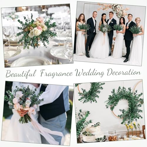 Knitgrip 80 Pcs Large Dried Eucalyptus Stems 17inch Natural Real Fresh Eucalyptus Branches for Shower Hanging Fresh Plant Greenery Leaves for Wedding Bathroom Vase Filler DIY Garland Decor