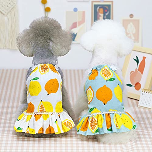 Lot de 2 robes mignonnes pour chien - Style d'été - Motif citron - Jupe pour chien avec col à fleurs - Respirant - Coton - Printemps et été - Taille L Cover
