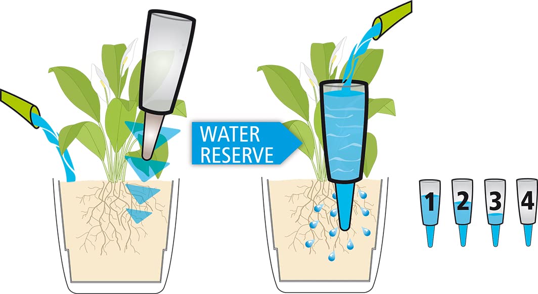 Scheurich Dispensador de Agua Copa XL, 1 x Transparente, cantidad de llenado de 500 ml, Bola de riego pequeña con pie de Arcilla, dispensador de Agua para Plantas y Flores, Tallo de Terracota