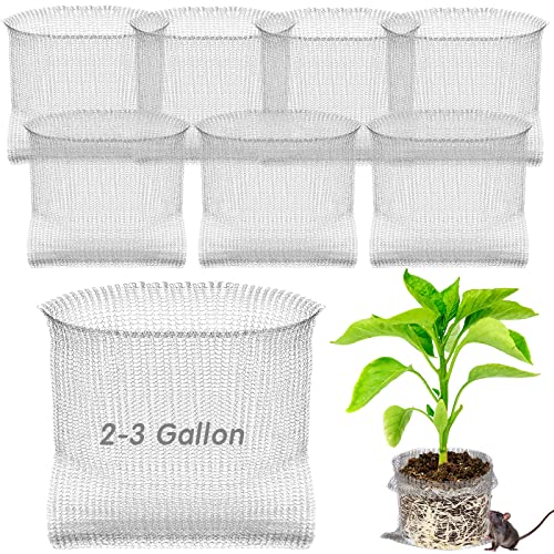 SEEWEY 8 cestini per arvicole e gopher da 3 galloni, per piante primaverili, in acciaio inox, per piantare bacche e verdure