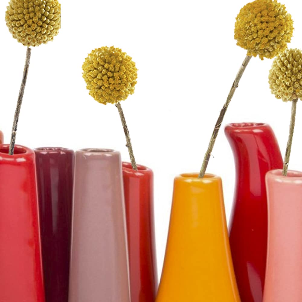 Chive Vaso di fiori multi-camera 'Pooley 2' - Carino e bellissimo vaso in ceramica per fiori e piante da appartamento - zucca, arancione e rosso