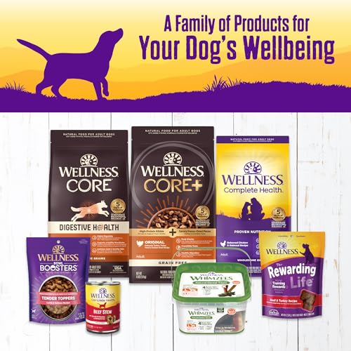 Image of Wellness Complete Health Stew Adult Canned Wet Dog Food, Grain Free, Natural, Beef Recipe, 12.5 oz, Pack of 12 Cans