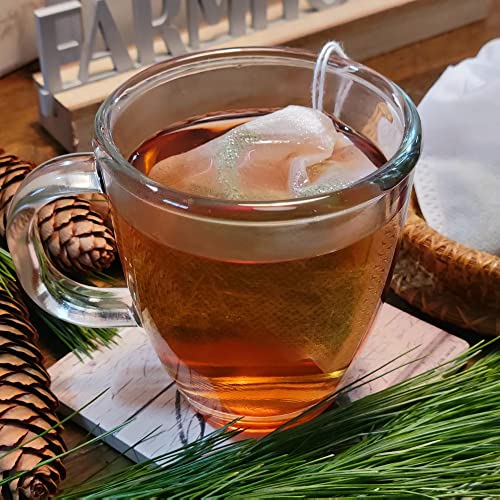 Brew Perfectly Balanced White Pine Needle Tea With The Best Tea Bags!