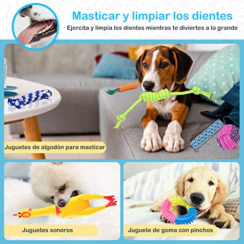 Juguetes Para Perro, Pet Products Imagen adicional