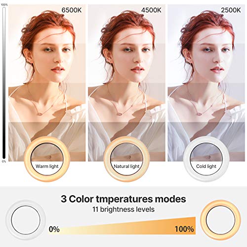 Laptop Selfie Light for Video Conference - 4\" Webcam Conferencing Clip on Lighting, 3200K-6500K Dimmable Led Ring Lights for Remote Work/Zoom Calls/Self Broadcasting/Live Streaming/YouTube/TikTok