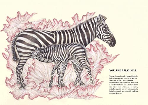 We Are All Apes - Image 4