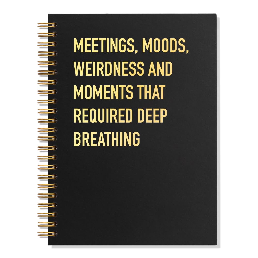 Meetings Moods - Taccuino a spirale a righe, 160 pagine, divertente, con copertina rigida per lavoro, diario di lavoro umoristico per colleghi, regalo sarcastico per dipendenti, regalo di