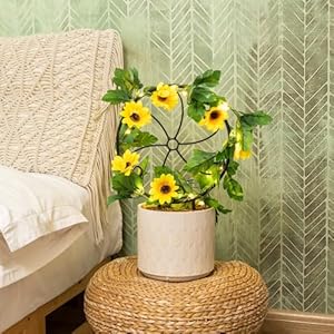 2 pcs 14in indoor metal garden circle plant trellis for houseplant climbing pot plants black style a  urban country home decor