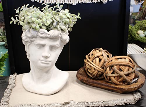 Lucky Winner Greek Statue Head Cement Planter - Unique Sculpture Plant Pot For Indoor Outdoor Home Garden Decor (9") #TOP2