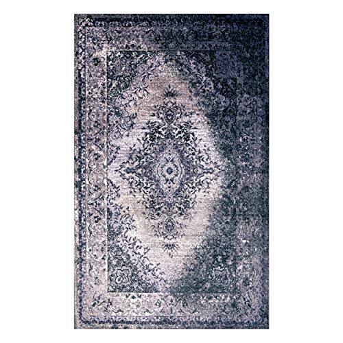 Superior Indoor Large Area Rug, Washable Rugs for Bedroom. Living Space, Dining Room, Kitchen, Office, Entryway, Plush Throw, Modern Oriental Decor, Non-Slip Back, Eldwin Collection, 6' x 9', Grey