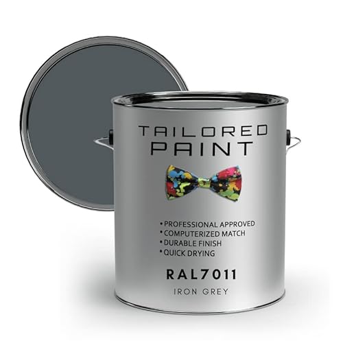 RAL7011 - Pincel o spray para pintura (250 ml, color gris hierro) Cover