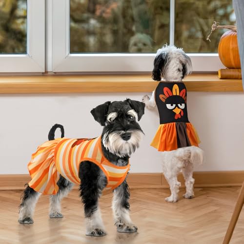 Robe de Thanksgiving pour chien et chat taille M sans irritation - 6