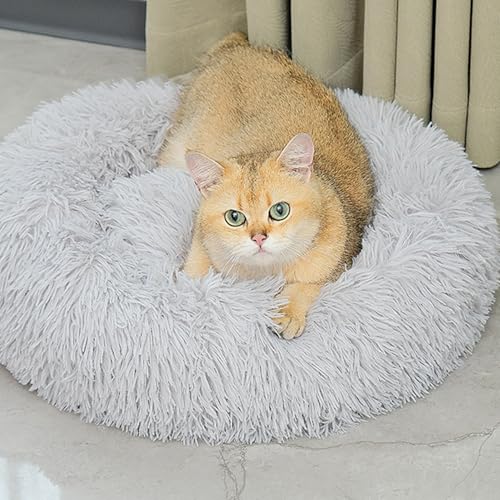 [ADSNS] Lxbh lR LbgEhxbh ybg\t@ 50cm ybgxbh  g Eh ӂӂ Q J[1 ې􂢉 ^ L p ~ h[ic^ \t@ ybgpi H ~ ۉh ^ Lp