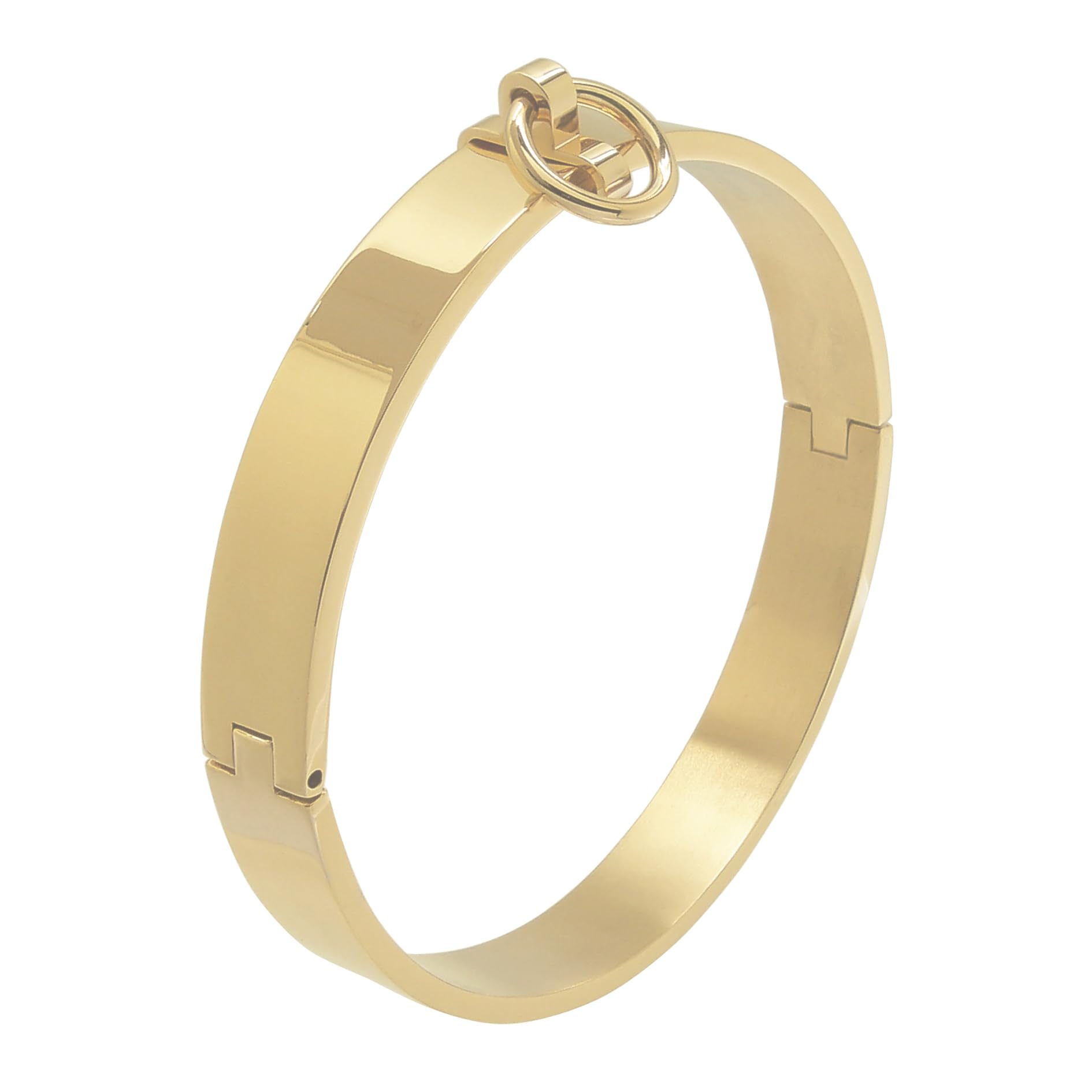 Edelstahl Halsband Choker abschließbar mit abnehmbarem O-Ring
