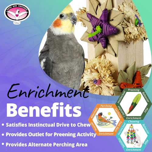 Image of Super Bird Creations SB1170 Balsa Perch & Play Bird Toy for Parrotlets, Parakeets, Cockatiel - Promotes Physical Activity, Curiosity, and Mental Engagement - Small /Medium Bird Size - 8 inch x 6 inch