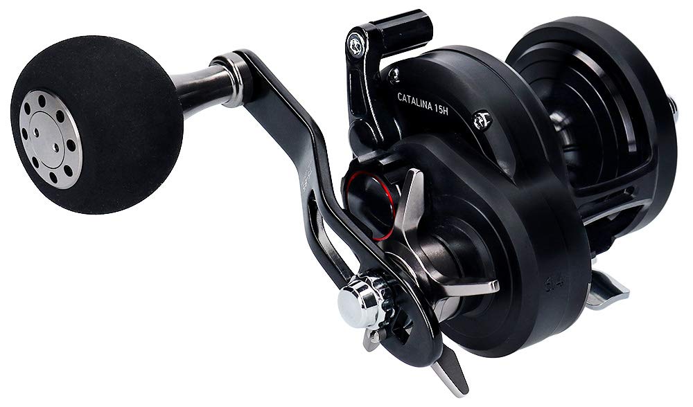 Daiwa Bait Reel 19 Catalina 15H (2019 Model)